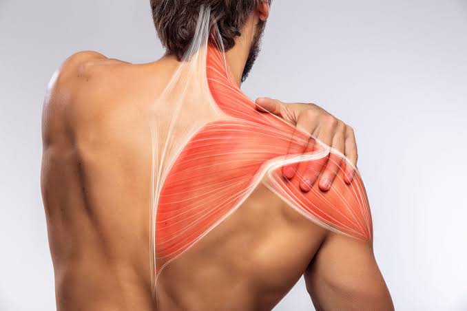 Shoulder & Upper Back Pain: Causes, Relief and When to See a Physiotherapist